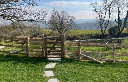 Peaceful Dyfi Valley Cottage - Hendre-gau - Photo 36