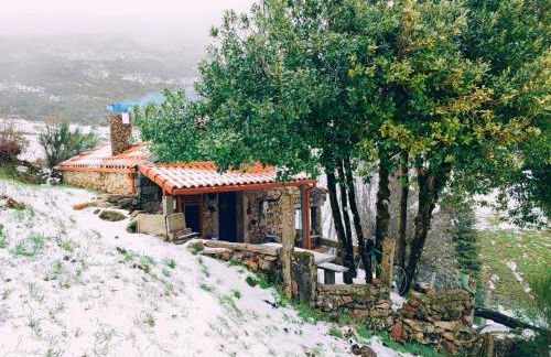 Casa do Azevim - Foto 50