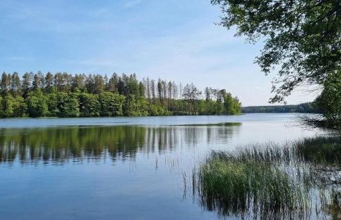 Amazing Home In Rekowo - Foto 10