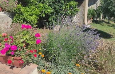 Il giardino fiorito - Foto 9