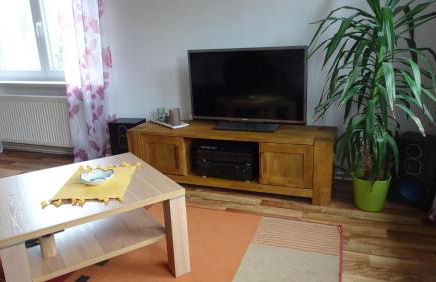 Ferienwohnung Erzgebirgswohnung Götze - Foto 34