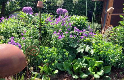 Ferienwohnung Haus Angela - Foto 20