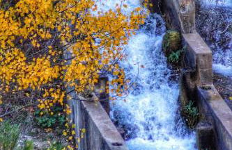 Apartamentos El Pajar del Abuelo - Foto 13