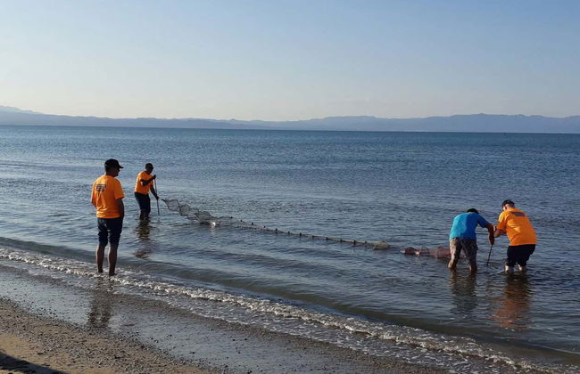 River Ebro Seafood Workshop + Mussel Tasting - Photo 6