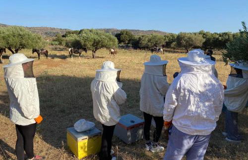 MENELAUS Stone House - Foto 37