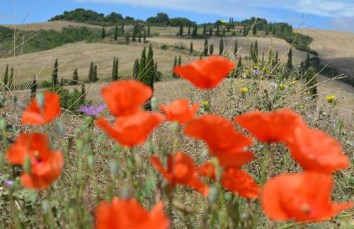 Le Ginestre Arte Vacanze - Foto 24