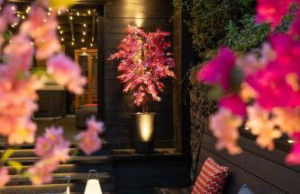 The Secret Garden, Donaghadee - The Hideaway - Stylish 5-Beds, and Lavish 3-Bedrooms - Guests 7 - Super Fast Speed Wi-FI - Foto 45