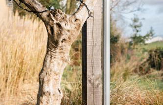 Square 32 Luxury Shipping container - Foto 33