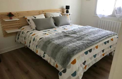 La mer poules proche plage - Foto 8