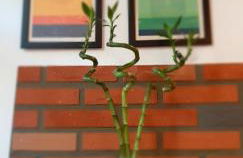 Volt76 - Como lake apartment - Foto 19