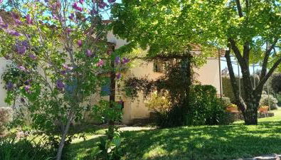 BELLEVUE - Foto 3, Garden