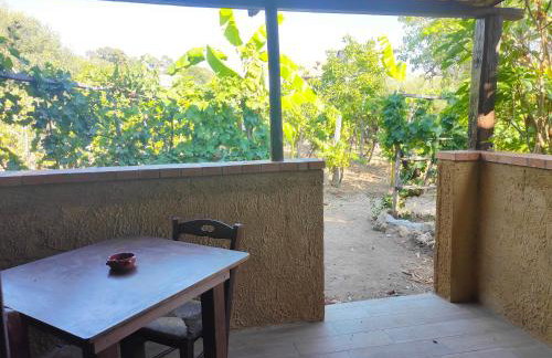 Agriturismo Casa del Contadino - Photo 21