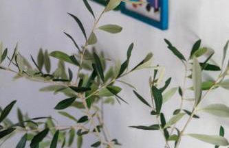 Casa Com Mãos - Foto 17