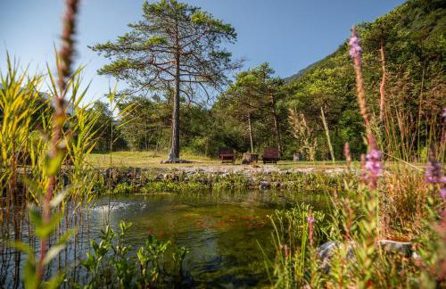 Bosc del Meneghì - Foto 8