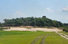 Premium Amazon Jungle Lodge - Foto 33