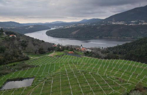 Encanto do Douro Antigo - Foto 5