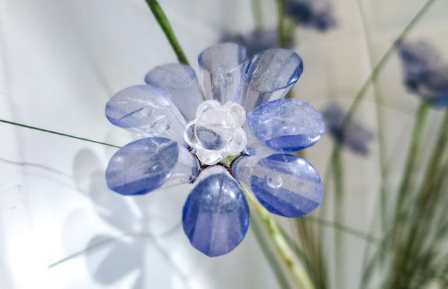 Marlin Waters - Foto 8