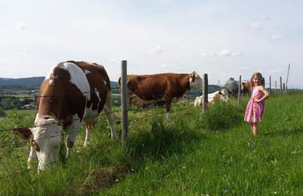 Biobauernhof Benihof - Ferienwohnung Alpenblick - Foto 12
