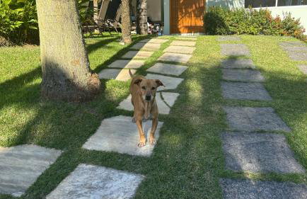 Casa da piscina vermelha - Foto 9