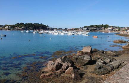 Appartement avec WIFI, VUE SUR LE PORT DE PLOUMANAC'H à PERROS-GUIREC - Réf 876 - Foto 19