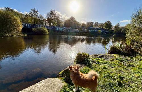 Dillons Lakeside Lodge - Photo 5