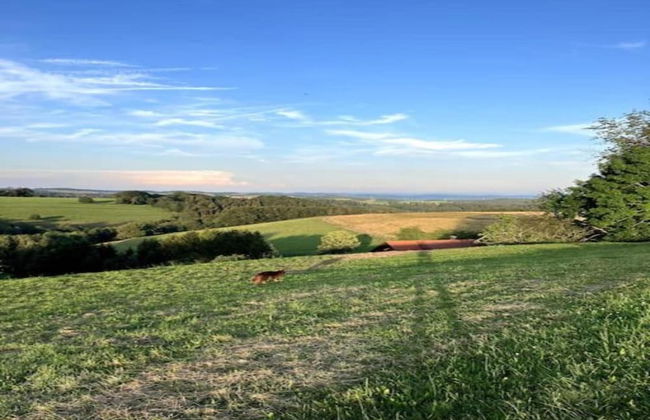 Elegante Ferienwohnung im Schwarzwald, Gorwihl - Foto 26