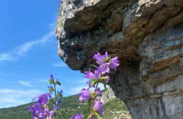 Gîte Ô Nature - Foto 60