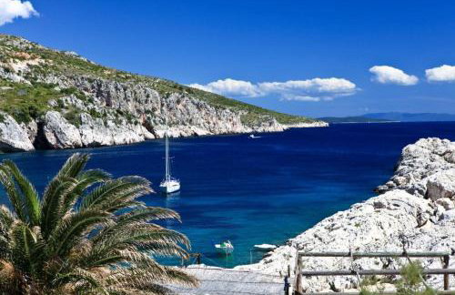 Robinson Elizabeta - Photo 3