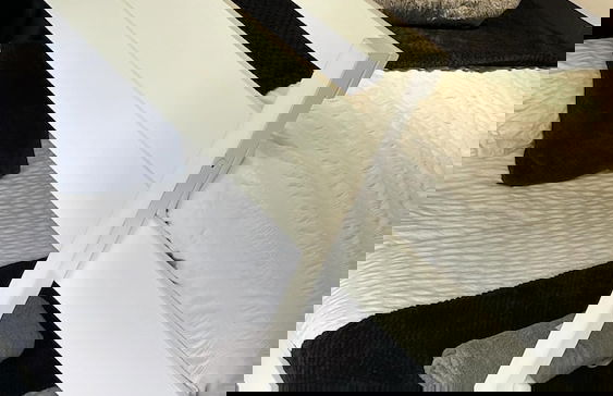 NEW Privacy Suite Serene Apt - Foto 4