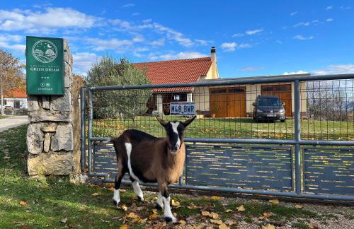 Holiday house Green Dream - Foto 33