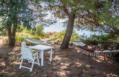 House Divna - Photo 10