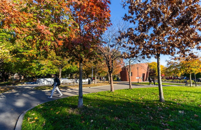 Cozy Shack-1 Bedroom Studio - Foto 19