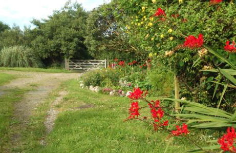 The Cwtsh at Ffynnon Clun: unique. - Photo 31