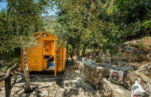 Palma Dello Zingaro - Foto 12