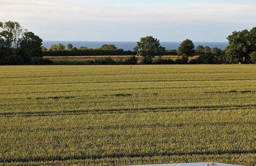 Ferienwohnung Rosengarten mit Meerblick - Photo 11