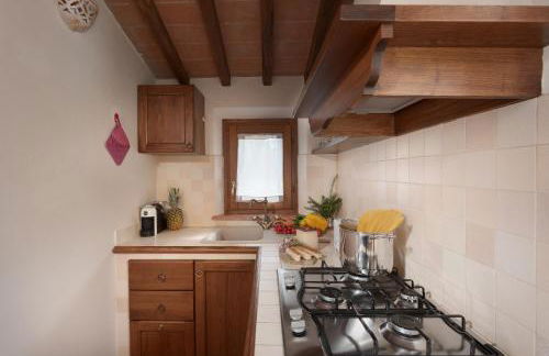 La Folaga del Trasimeno - Photo 92