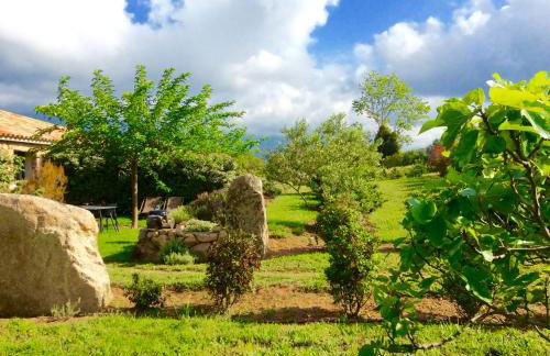 Clos Simoni - Foto 3