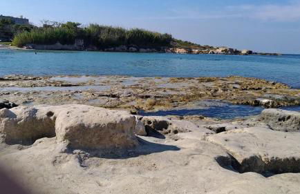 La terrazza sul castello - Foto 58