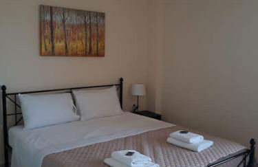 Alasrooms Γ1 - Photo 2