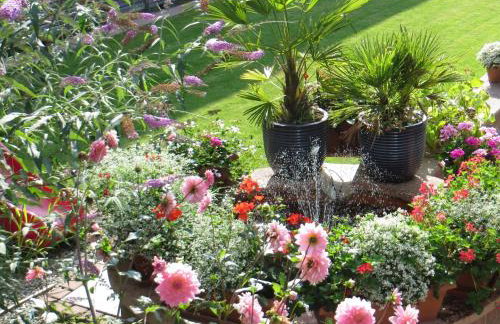 Ferienwohnungen Familie Schwarze - Foto 70