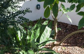 FLH Caparica Town House with Pool - Foto 37