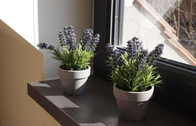 Holiday Apartment III Bjork - Foto 14