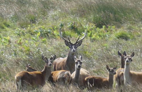 Pear Tree Cottages - Photo 42