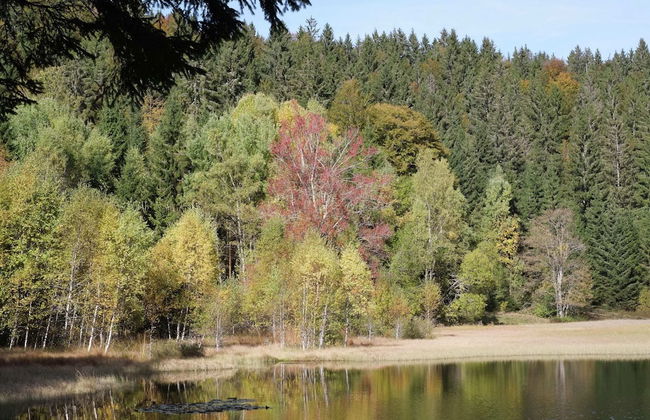 Ferienhaus in Wittenschwand - Foto 31