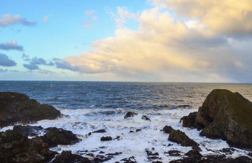 Seahaven Cottage - Foto 16