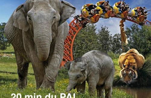 Appartement au calme proche du PAL - Foto 18