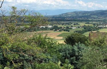 La Grande Quercia - Foto 6