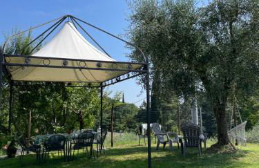 La Zinevrela - Foto 31