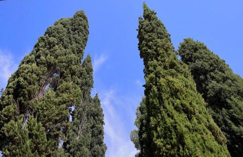 Agriturismo Villa Guarnaschelli - Foto 74