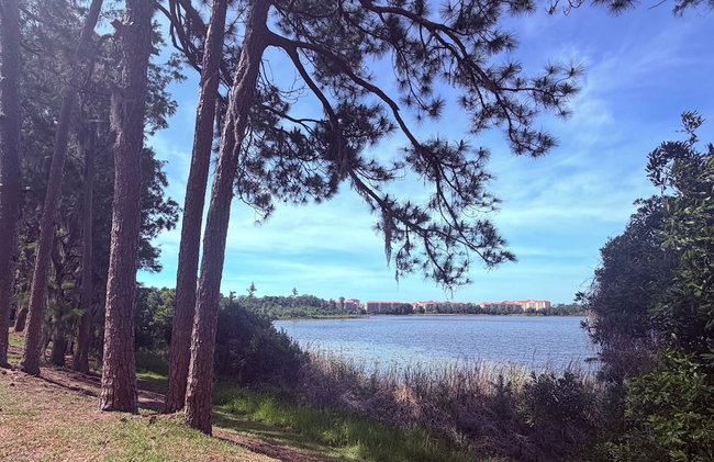 Lifetime of Vacations Resort - Foto 20